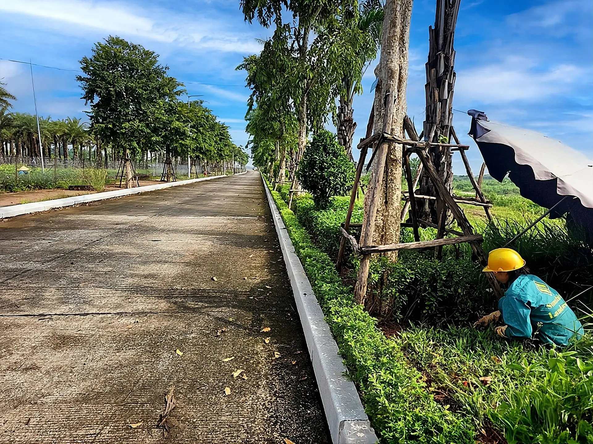 Tiến độ cảnh quan và tuyến đường nội khu Noble Rivera được đẩy nhanh